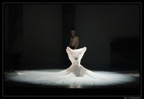 Saeed Hani HANI DANCE - "The Blind Narcissist"
