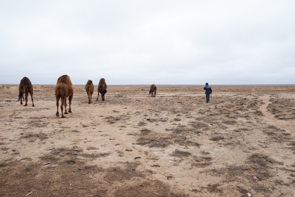 Verso l'Aral perduto